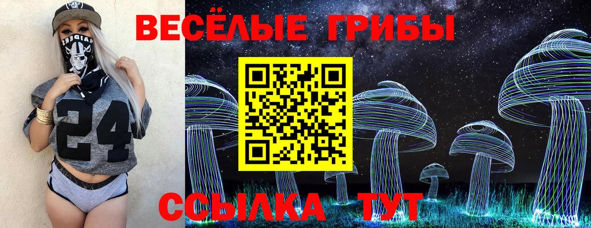 Псилоцибиновые грибы Psilocybe  Псилоцибиновые грибы Magic Shrooms  Вход с VPN  Севастополь 