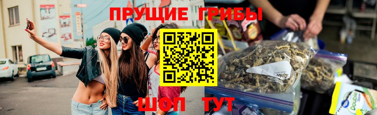 Псилоцибиновые грибы GOLDEN TEACHER Севастополь